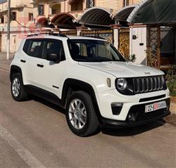 جيب رينيجيد